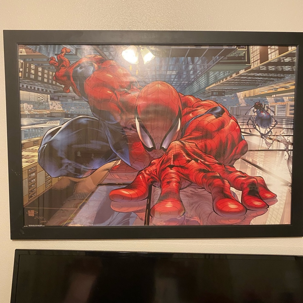Amazing Spider-Man Poster